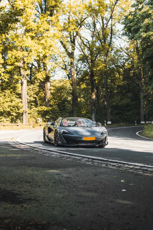A grey sports car on a tree-lined road