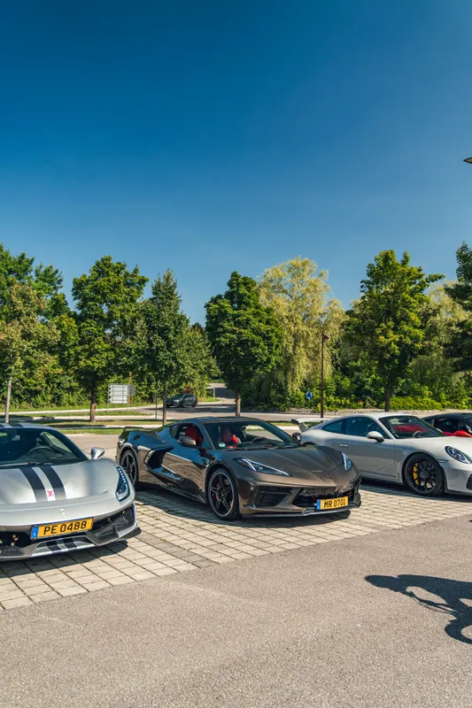 Cars lined up at a stop