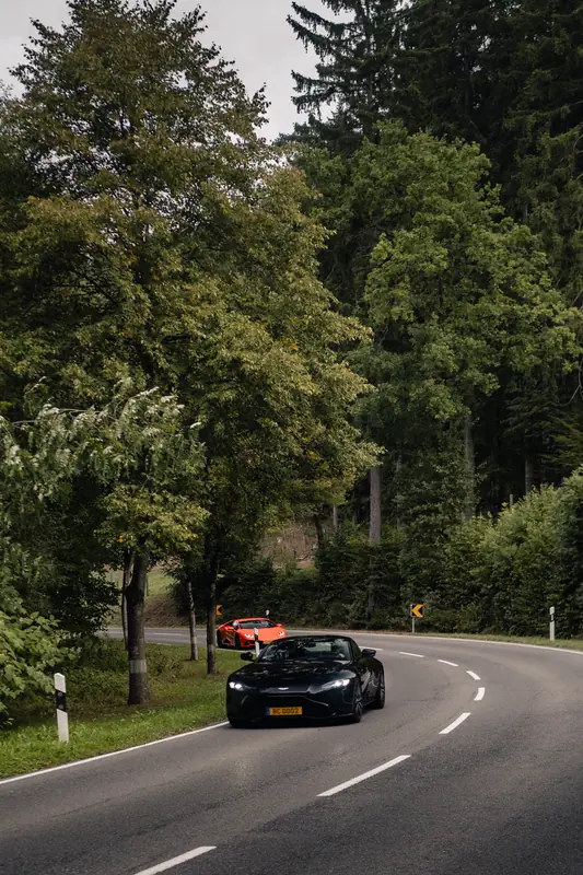 Cars driving past the forest