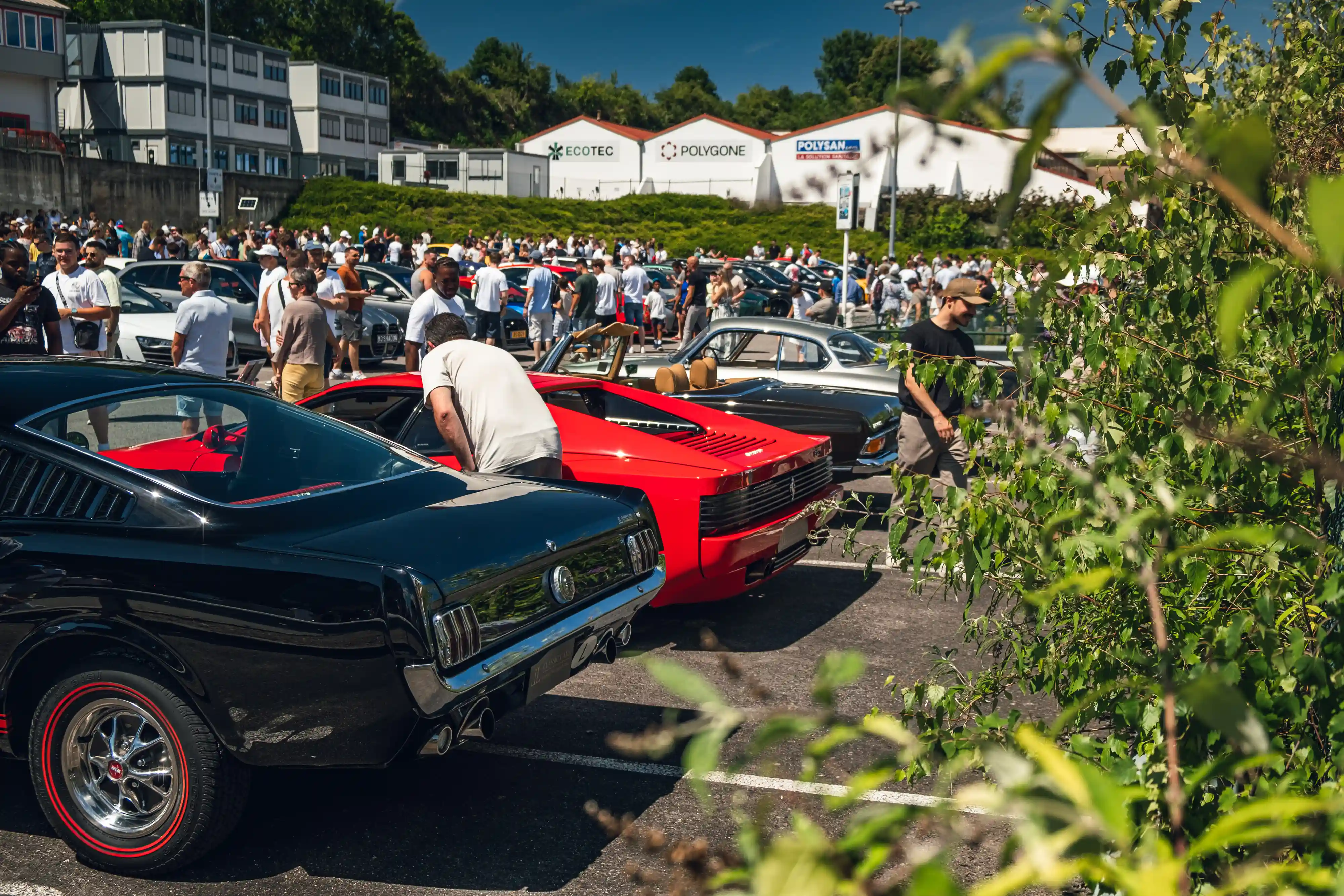 Ford Mustang and Ferrari from the GTO event gallery